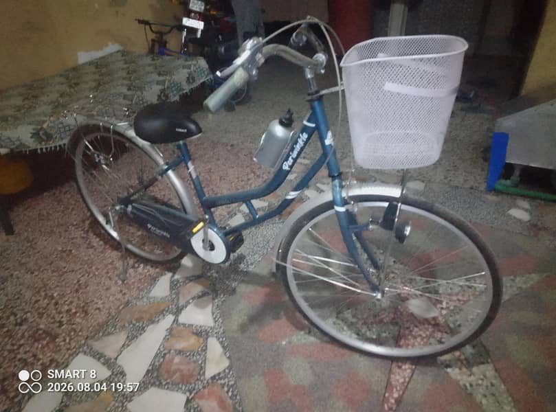 Ladies BIcycle 0