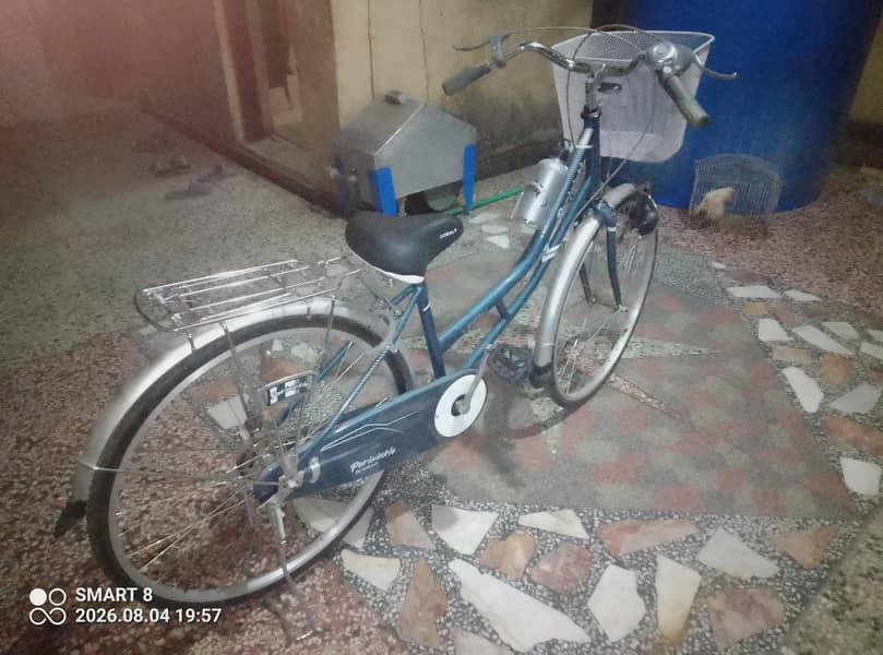 Ladies BIcycle 1