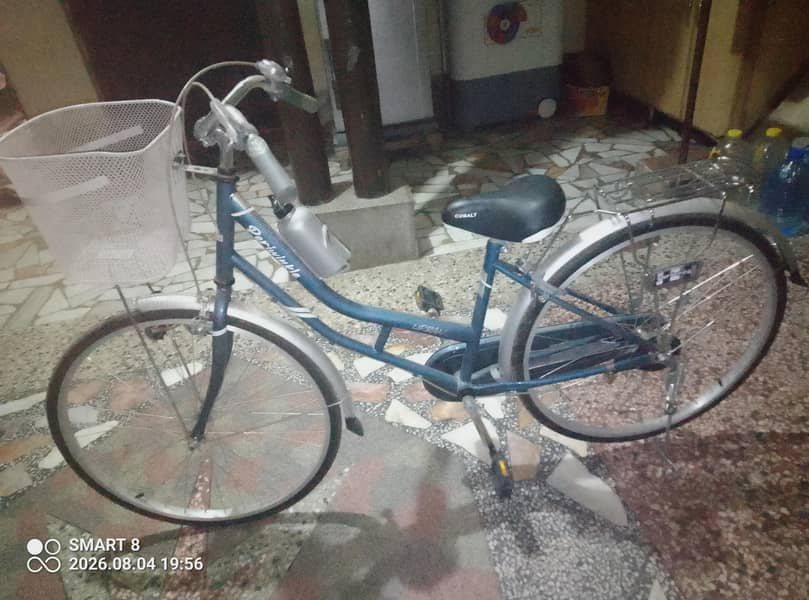 Ladies BIcycle 2