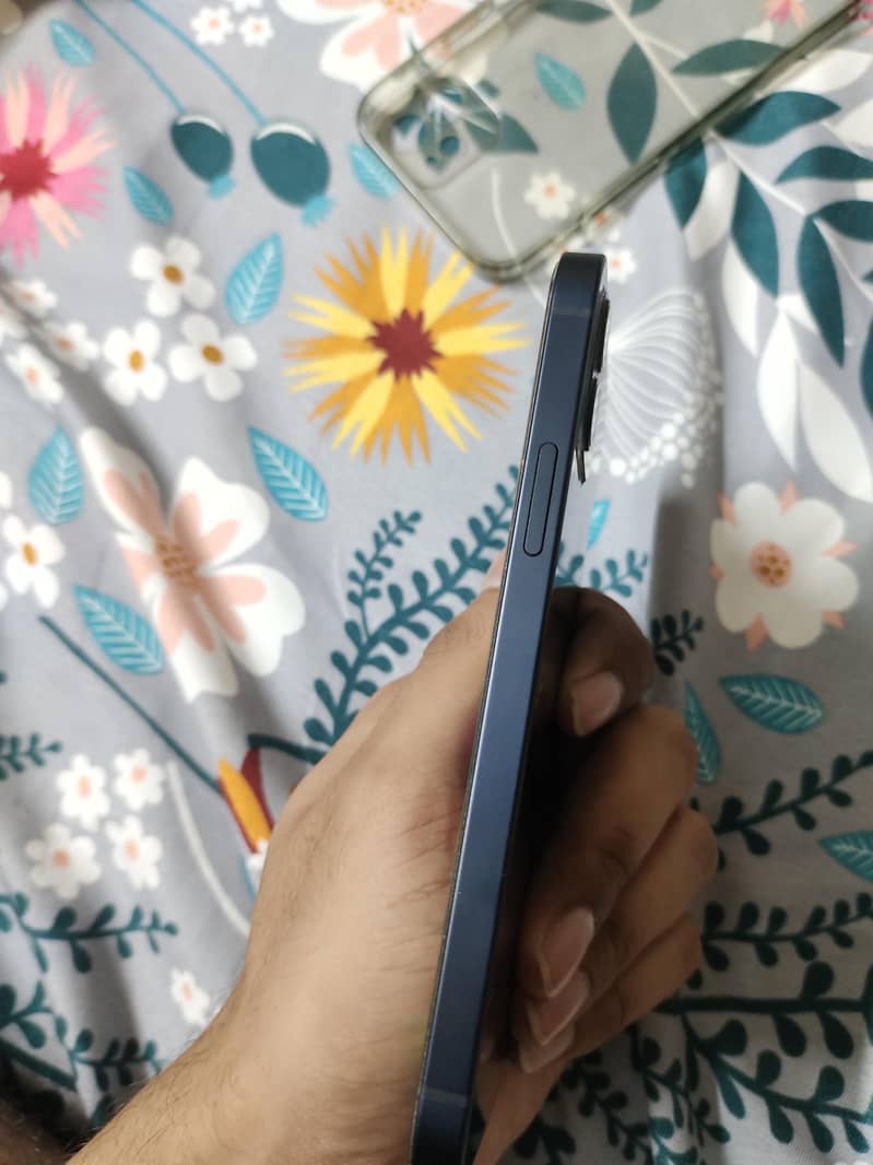 Apple iPhone 12 1