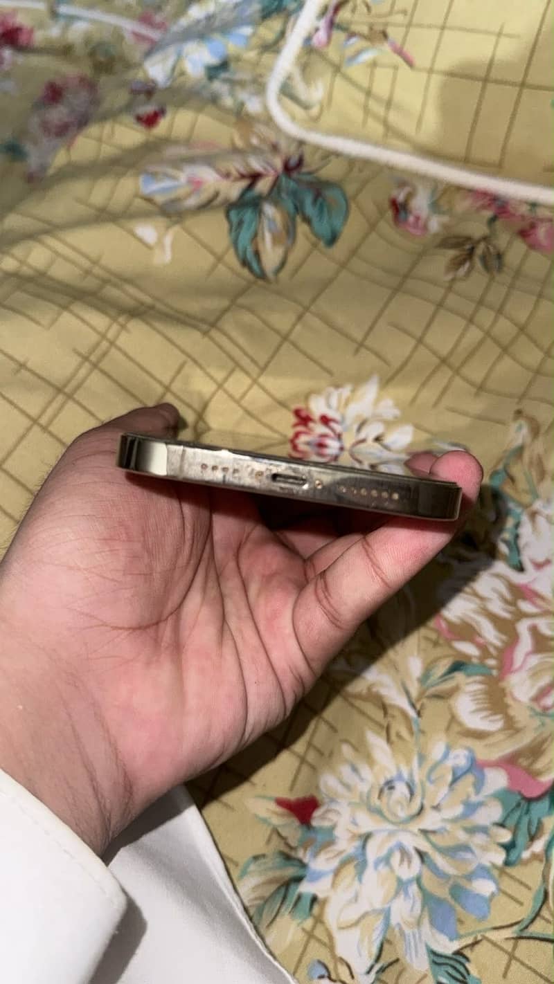 Apple iPhone 13 Pro Max 4
