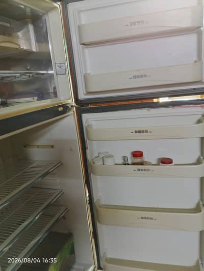 sale fridge