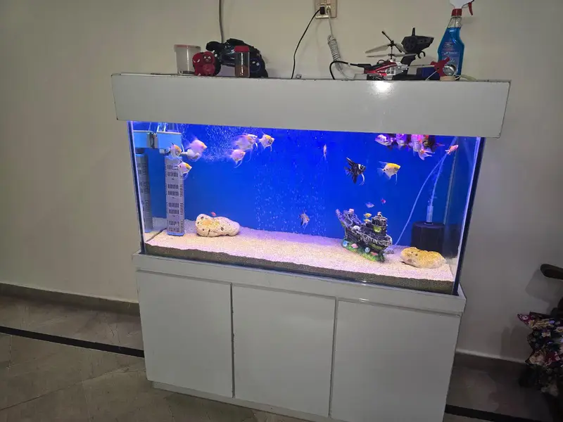 4 ft aquarium — photo 3