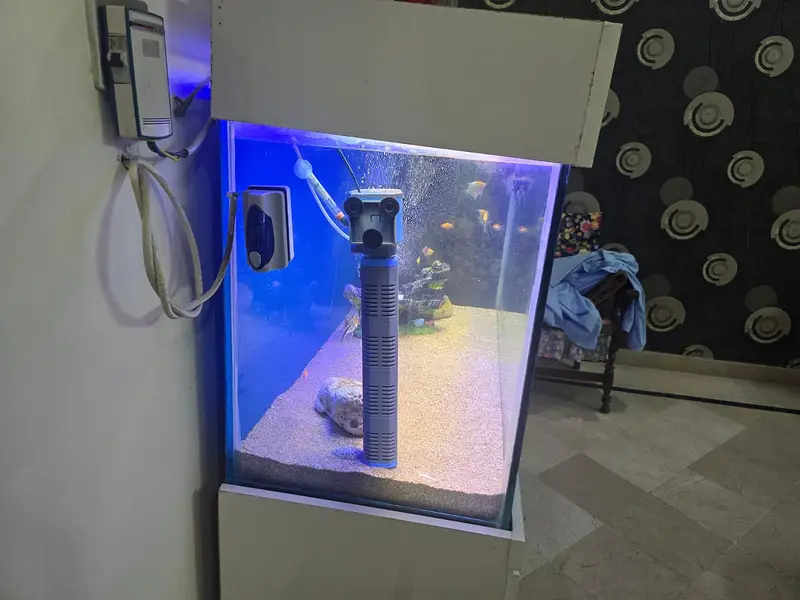 4 ft aquarium — photo 4