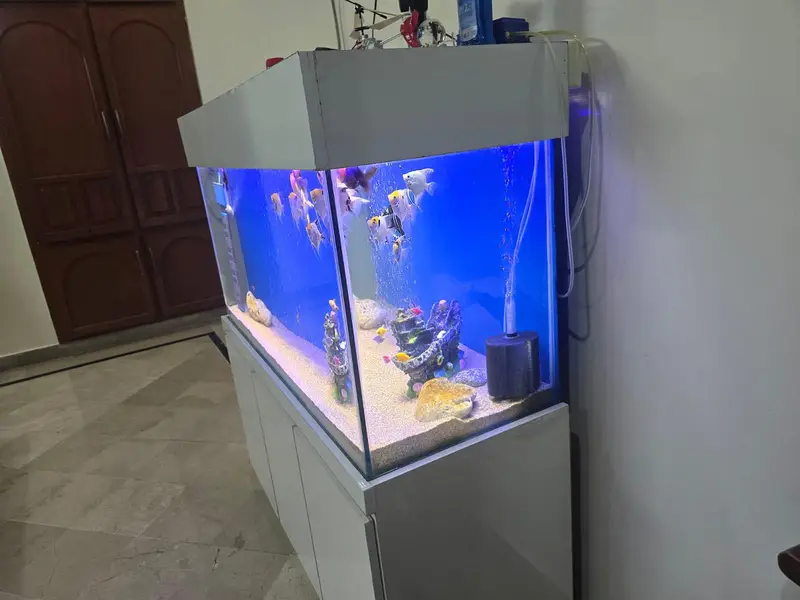 4 ft aquarium — photo 5