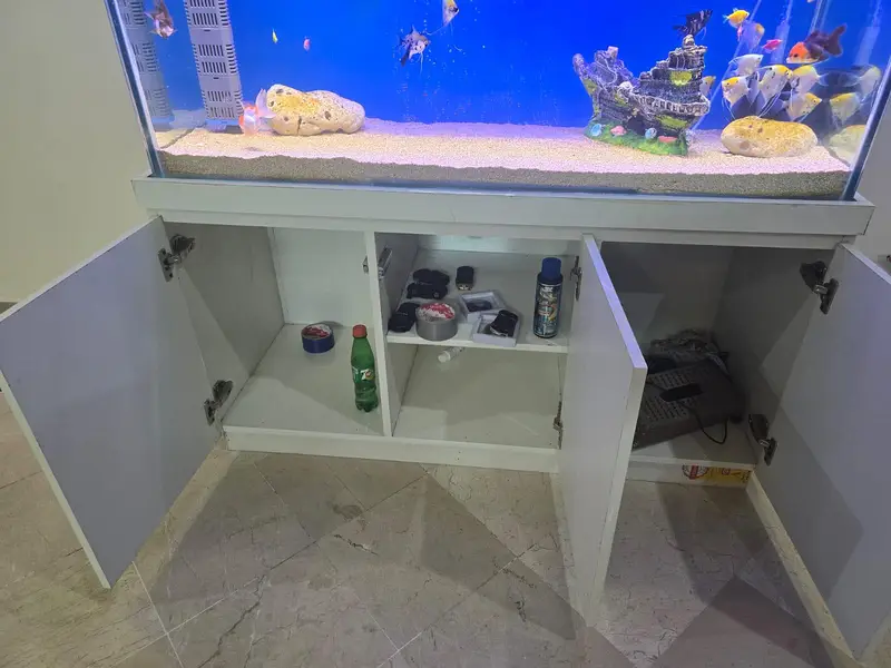 4 ft aquarium — photo 8