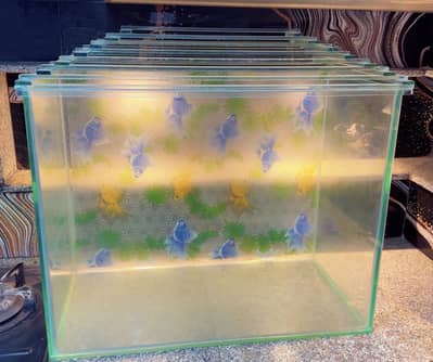 Fish aquarium