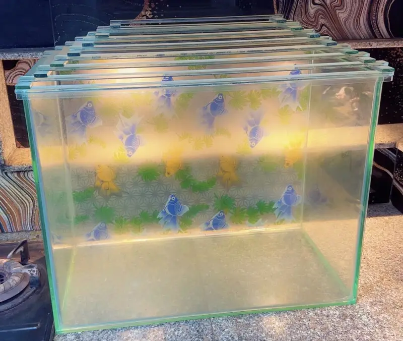 Fish aquarium — photo 2