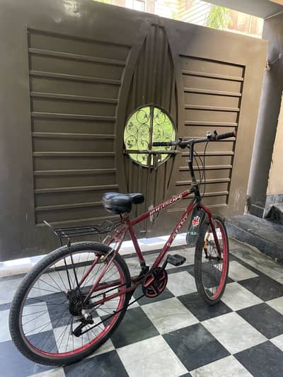 Bicycle for adult