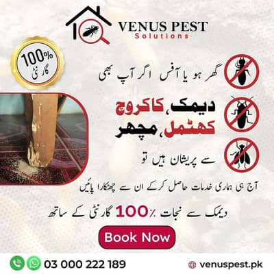 pest control dengue spray termite control Fumigation demak control