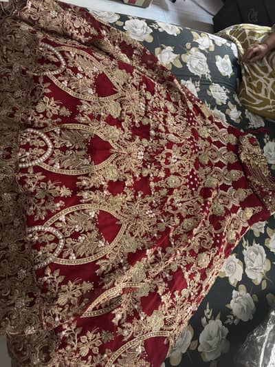 Imrozia lehnha Size medium