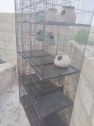 12 boxes bird cage
