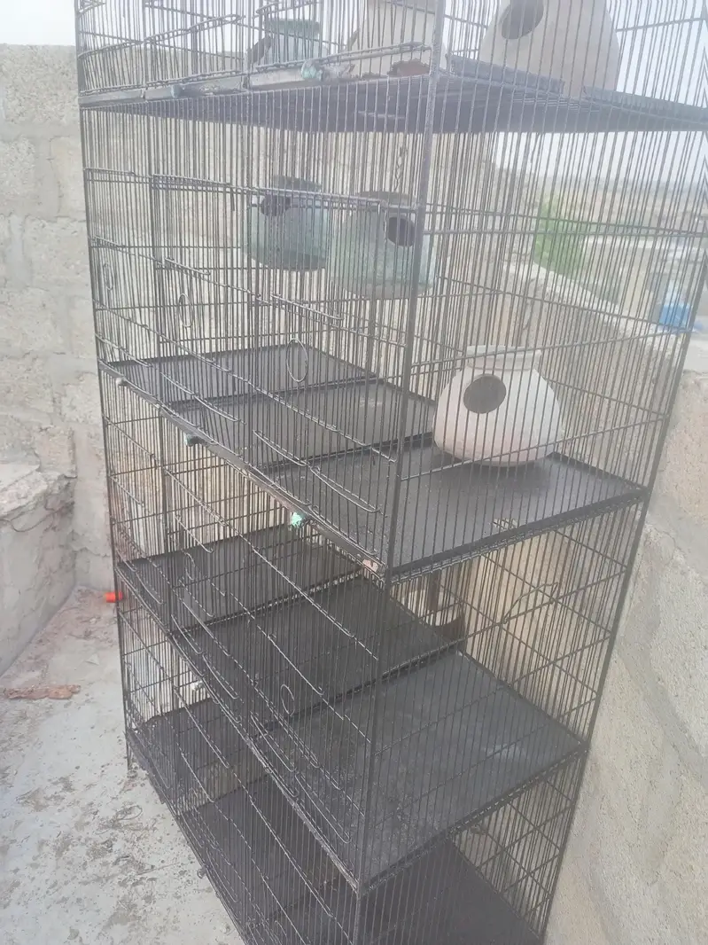 12 boxes bird cage — photo 2