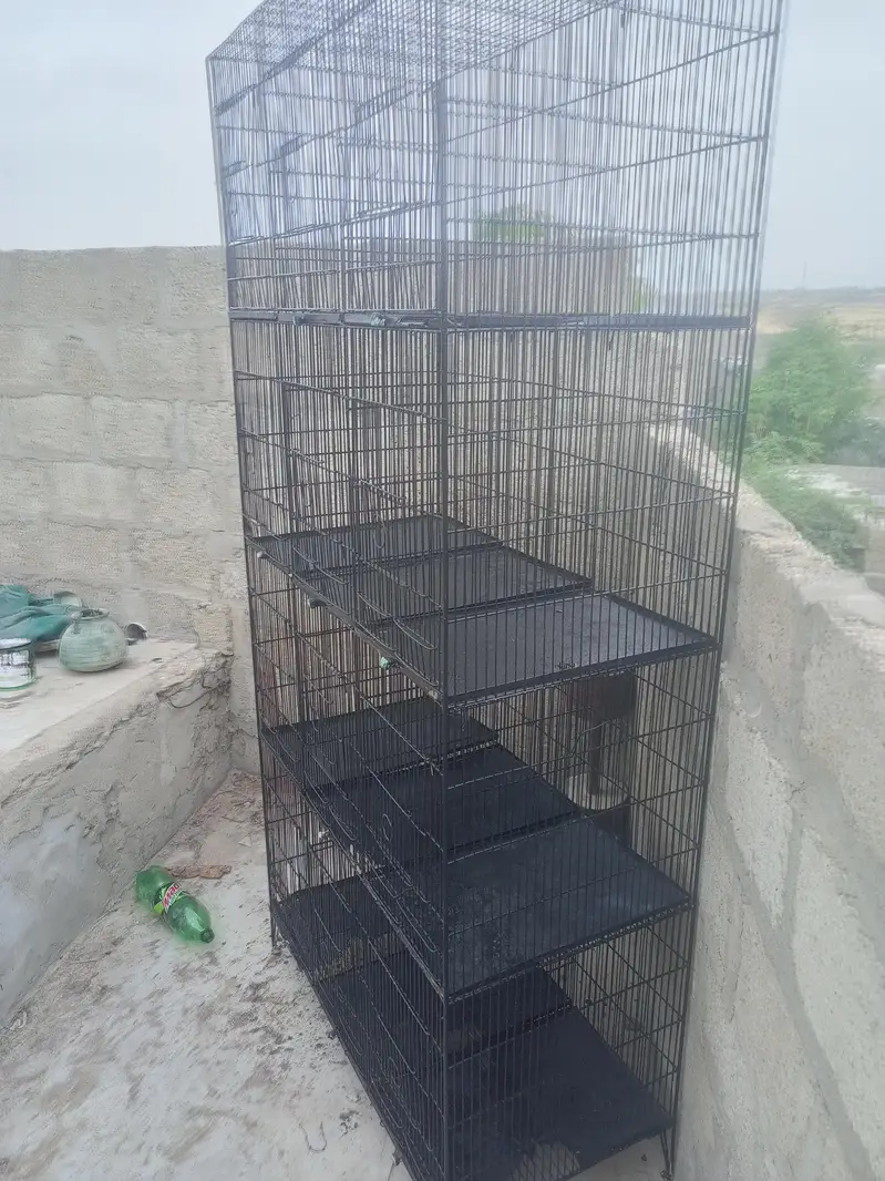12 boxes bird cage — photo 3