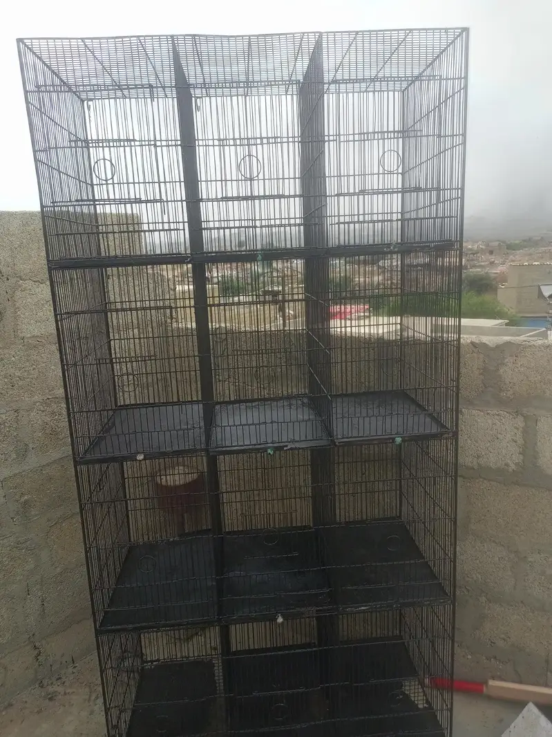 12 boxes bird cage — photo 4