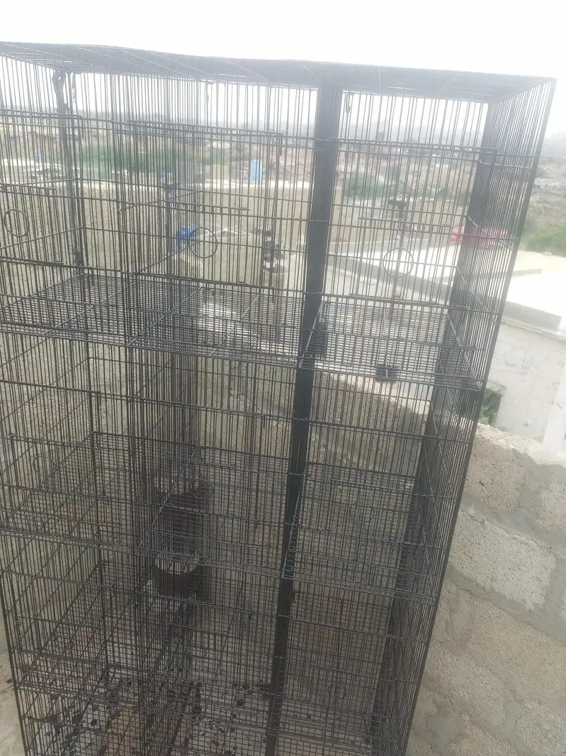 12 boxes bird cage — photo 6