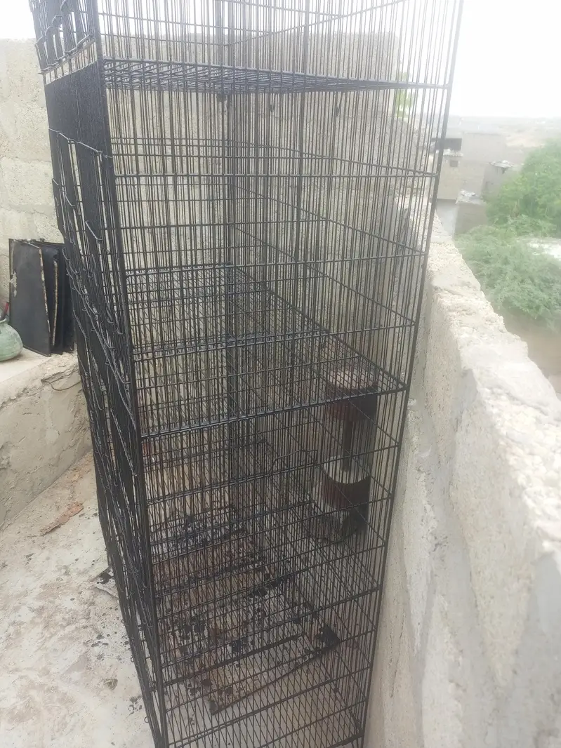 12 boxes bird cage — photo 7