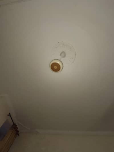 time star Cooper winding ceeling fan