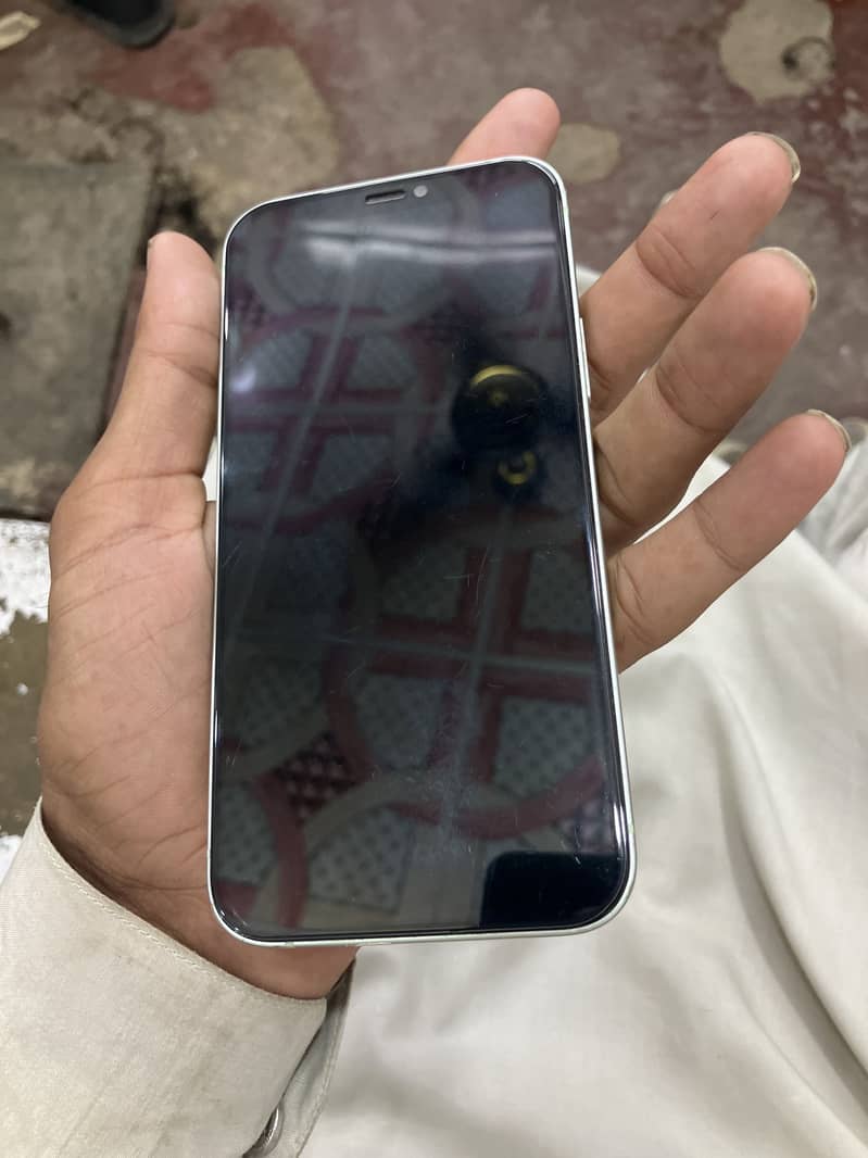 Apple iPhone 12 1