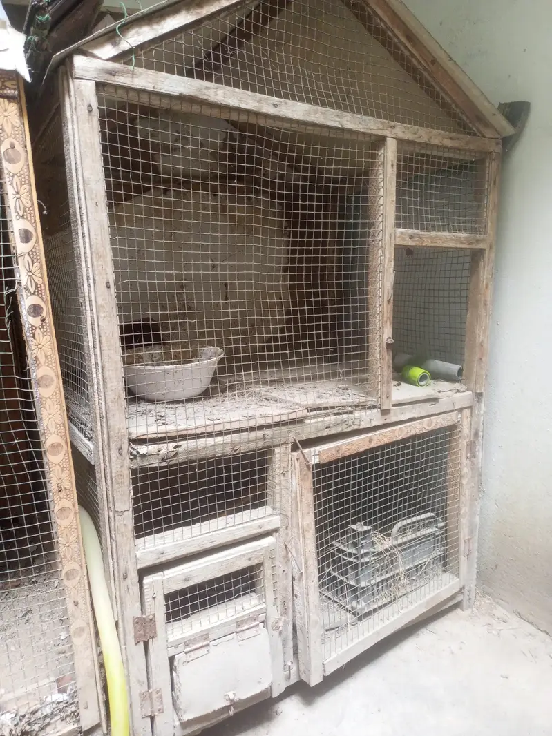 2 wood cage for sale