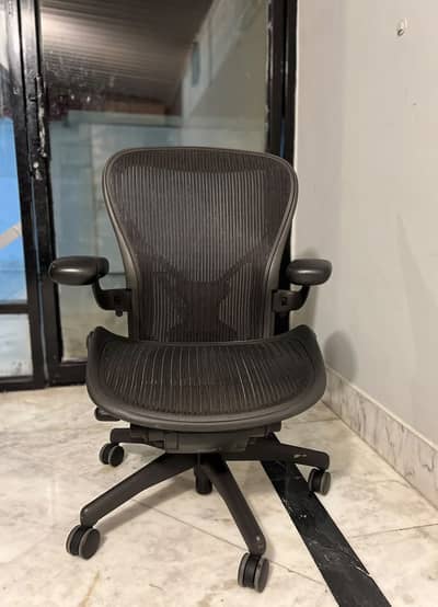 Herman Miller Aeron Classic Type C Full Adjustments Office Chair