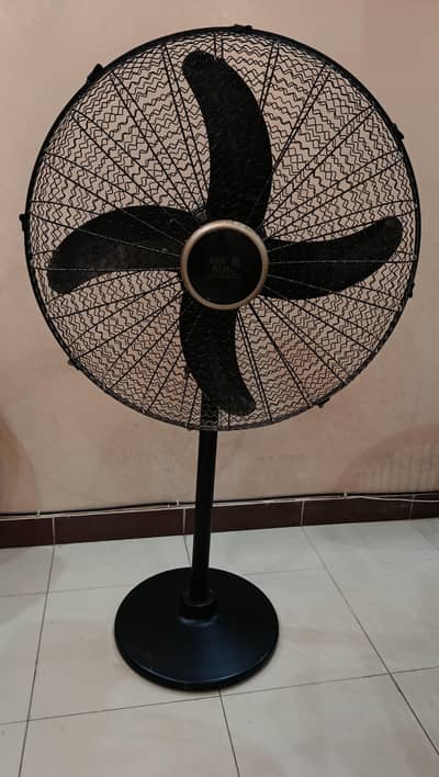 Pedestal Fan- Pak fan
