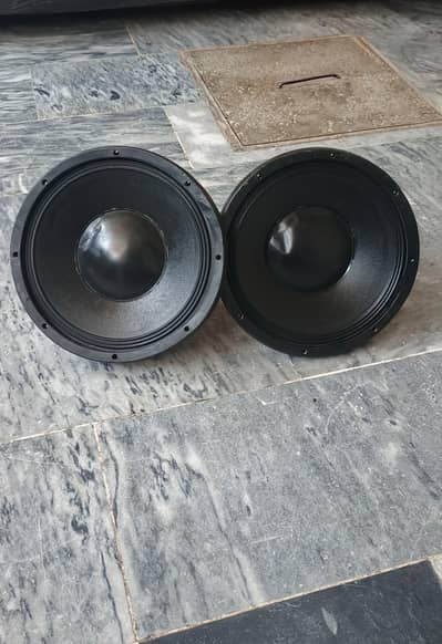 Peavey 12-Inch Heavy Duty Speaker – High Performance (200W RMS)