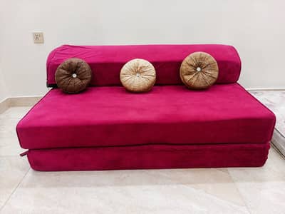Sofa Cum Bed / Iron Wardrobe / Almirah with Mirror & Safe Lock