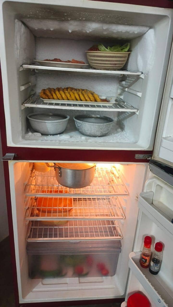 Medium size refrigerator 4