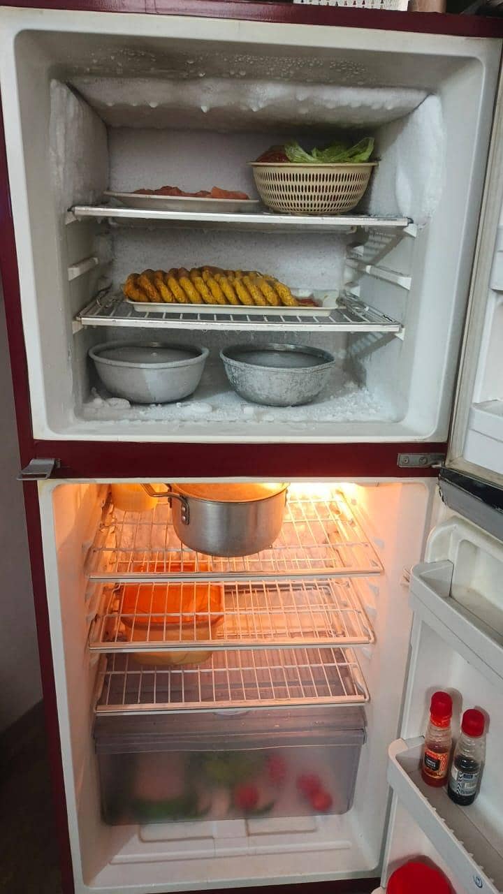 Medium size refrigerator 5