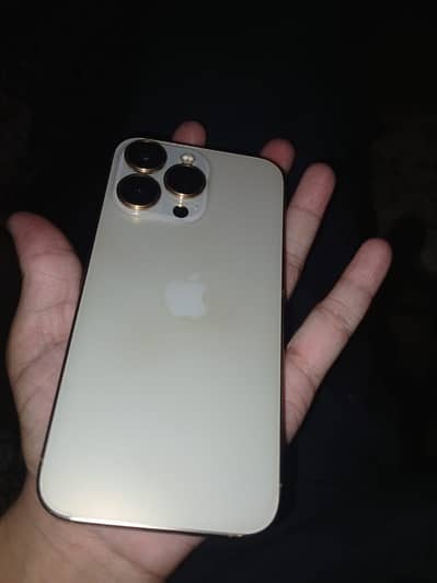 Apple iPhone 13 Pro