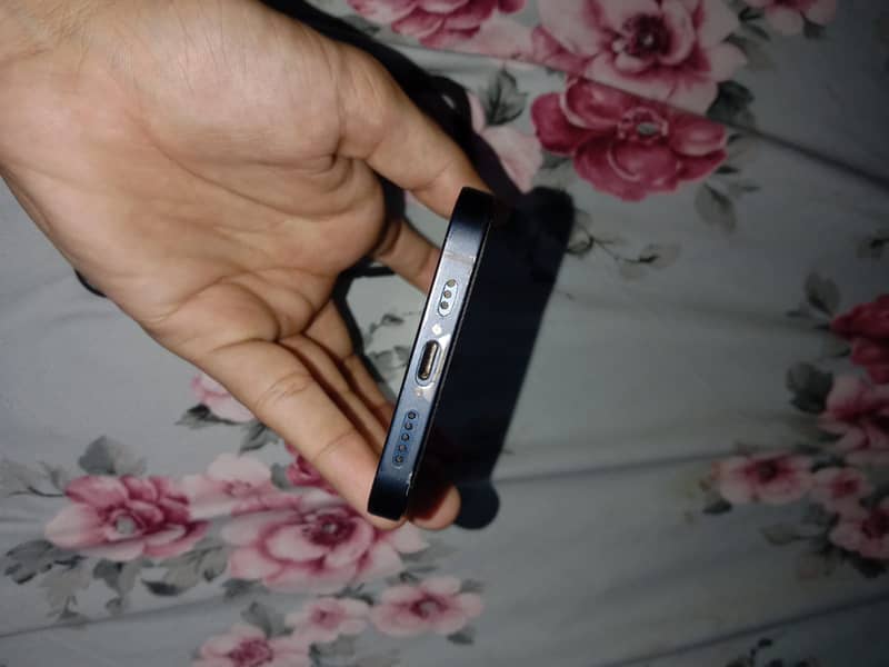 Apple iPhone 12 1