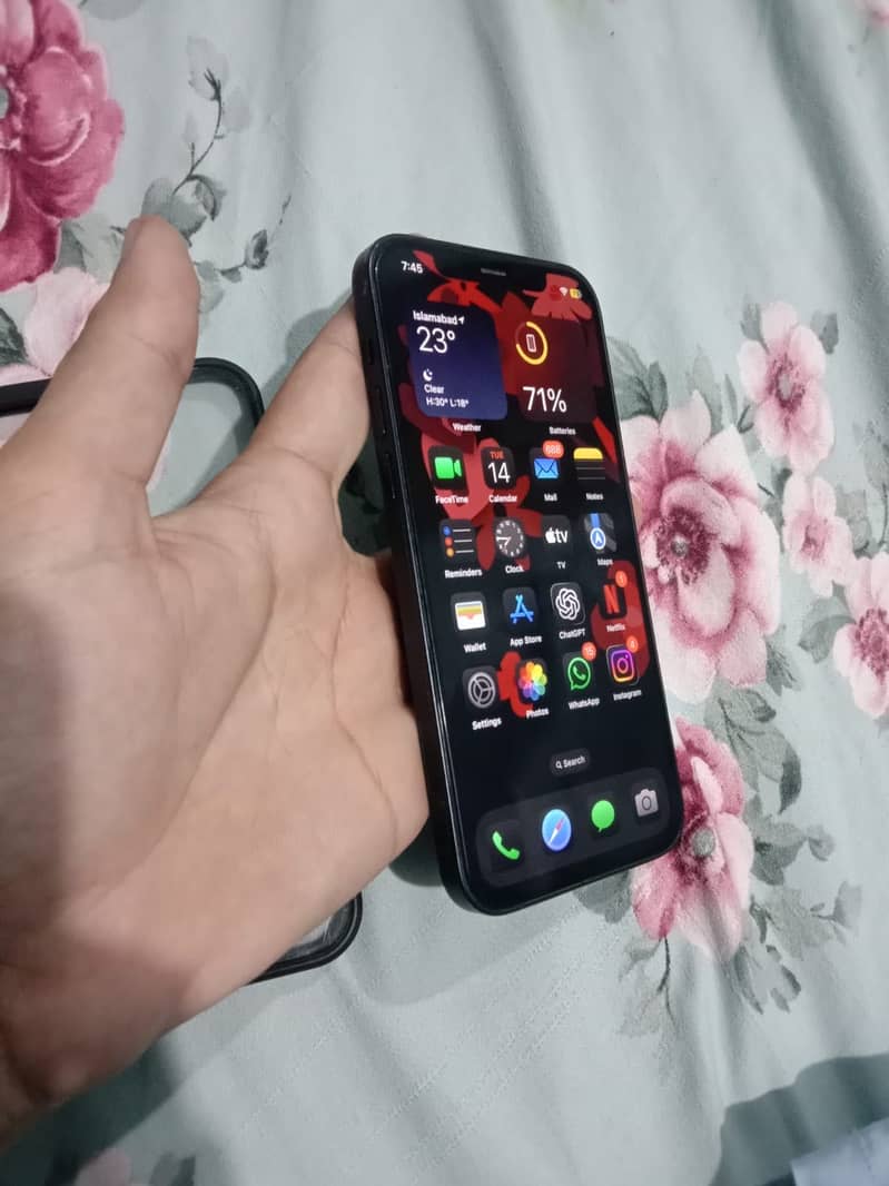 Apple iPhone 12 6