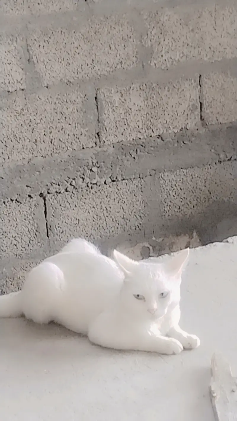 Cate sell — photo 2