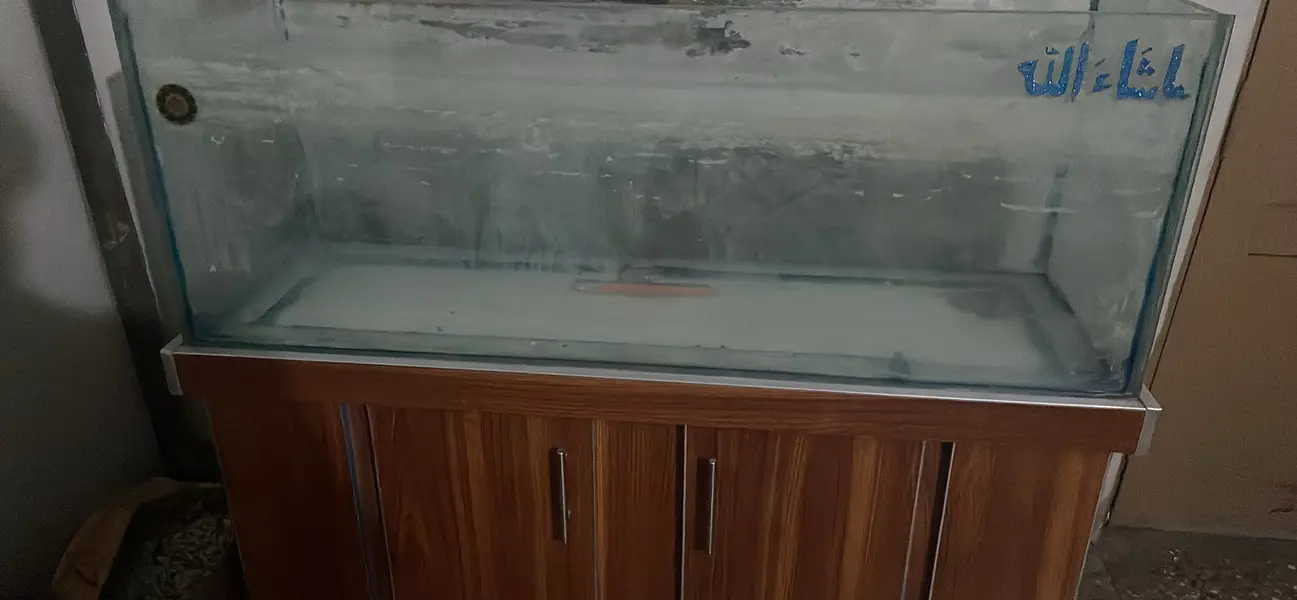 4 FT Aquarim — photo 4