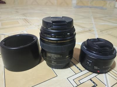canon 85mm 1.8  yongnuo 50mm 1.8