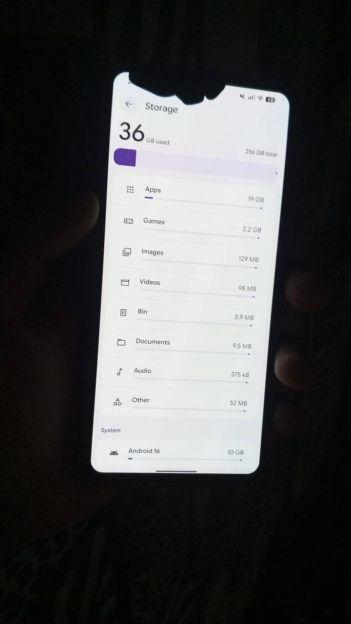 Google Pixel 8 Pro Original Panel 1