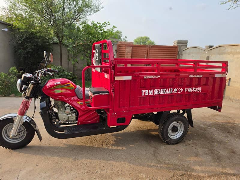 TBM RICKSHAW 3
