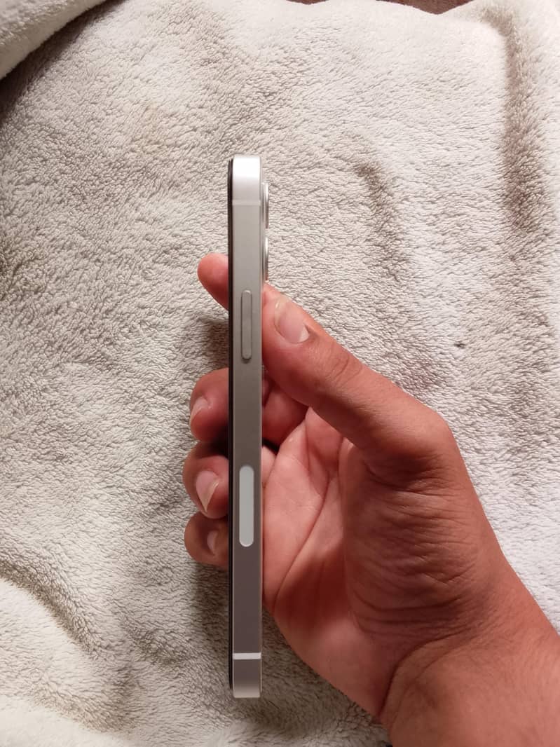 Apple iPhone 12 1