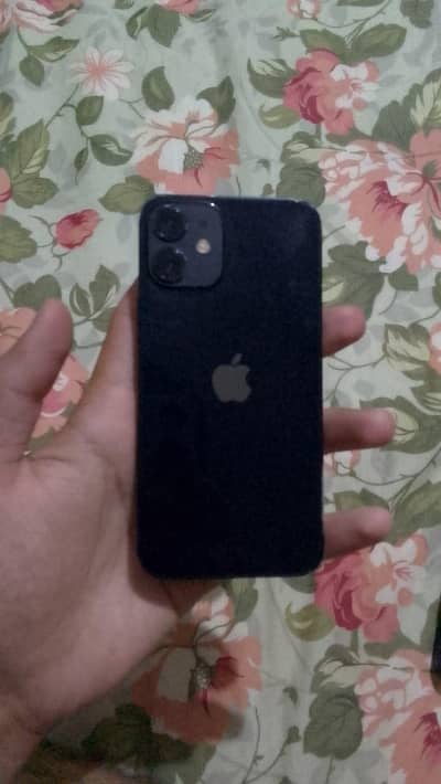 Apple iPhone 12 mini (jv)