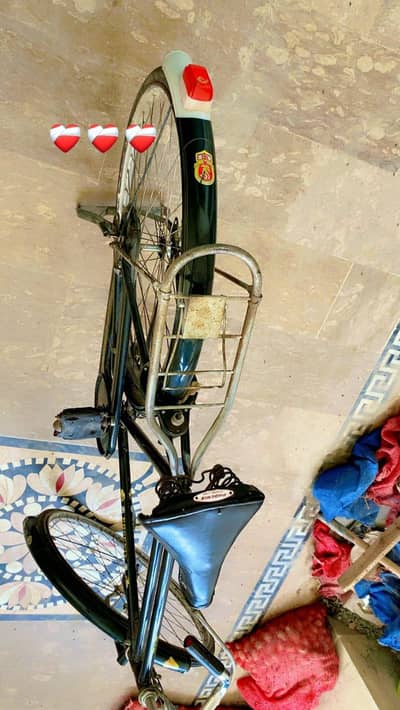 Phoenix cycle for sale