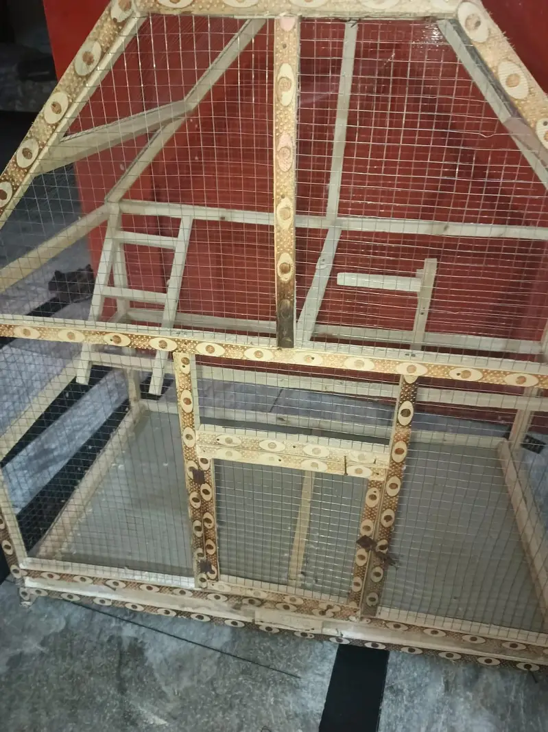 bird's cage — photo 2