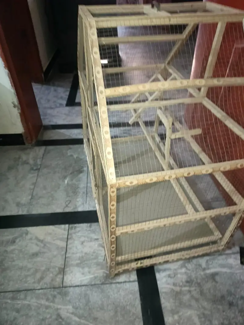 bird's cage — photo 3