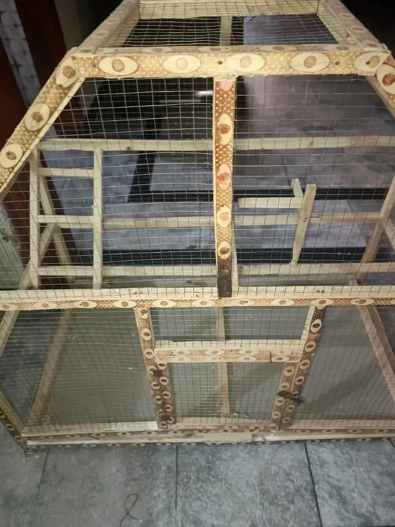 bird's cage — photo 5