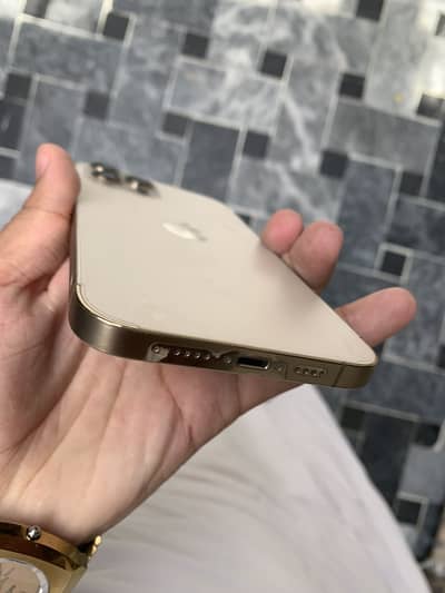 Apple iPhone 12 Pro Max