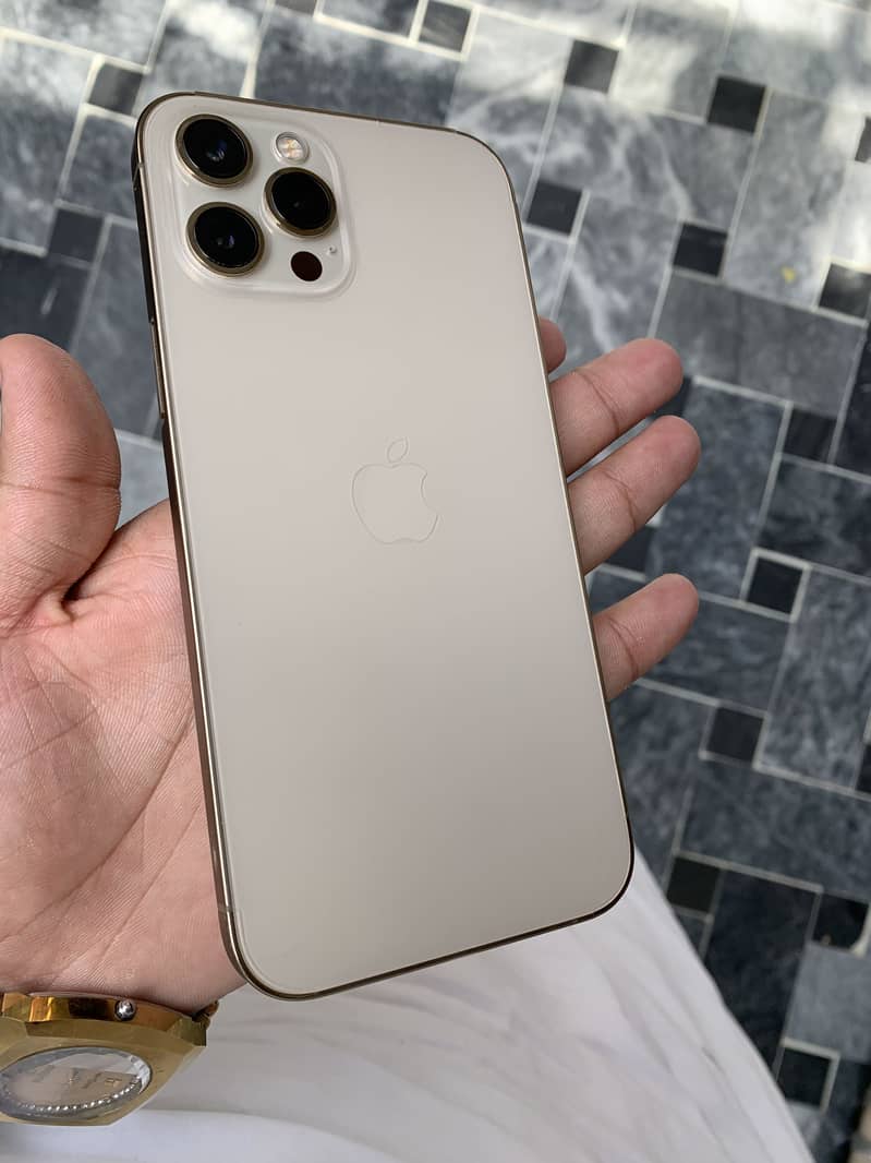Apple iPhone 12 Pro Max 1