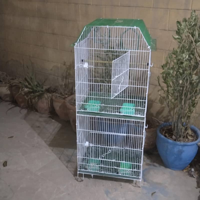 new condition 2