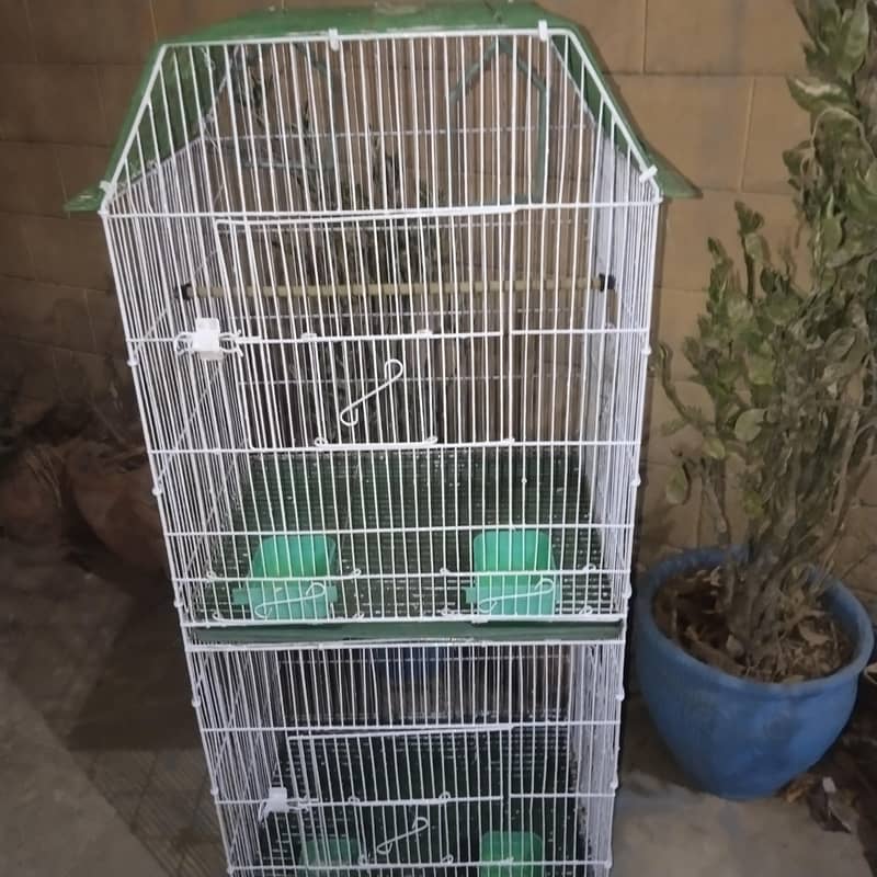 new condition 4