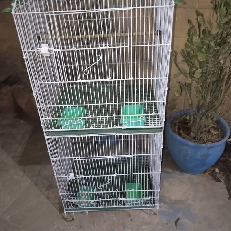 new condition 5