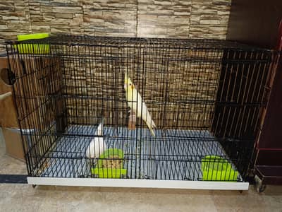 Partition Cage & Breeding Box